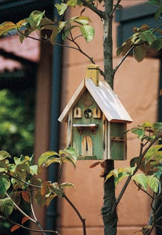 Bird House 巣箱 Field Fine